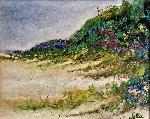 Phyliss Jaffe/Oceanside Dunes & Marshes